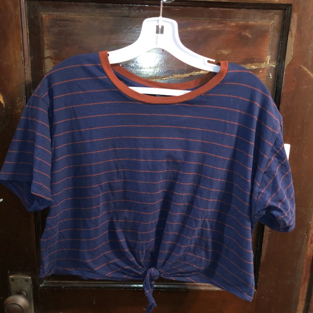 Blue striped Crop Top